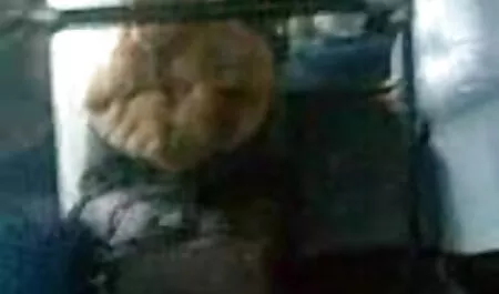 Морган і його еротика супер гра